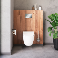 Унитаз Damixa Apollo DX22C1700SC Унитаз Damixa Apollo DX22C1700SC