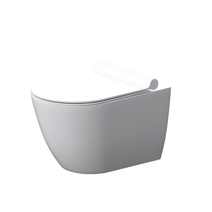 Унитаз Damixa Apollo DX22C1700SC