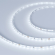 Светодиодная лента MICROLED-5000 24V Cool 8K 4mm (2216, 120 LED/m, LUX), Arlight, 024409, изображение 1 Светодиодная лента MICROLED-5000 24V Cool 8K 4mm (2216, 120 LED/m, LUX), Arlight, 024409, изображение 1