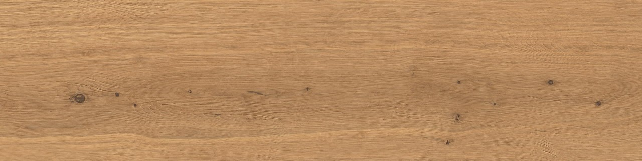 Керамогранит Atlas Concorde Log Amber Oak Forest 30x120, AX4C Керамогранит Atlas Concorde Log Amber Oak Forest 30x120, AX4C