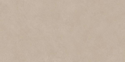 Настенная плитка Atlas Concorde Boost Natural Ash 50x120, A64Q Настенная плитка Atlas Concorde Boost Natural Ash 50x120, A64Q