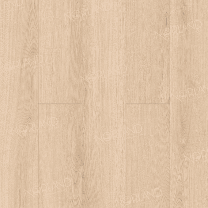 Ламинат Norland Elegant Strong Дуб Дол, LF302-03 Ламинат Norland Elegant Strong Дуб Дол, LF302-03