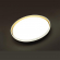 Светильник LED 76Вт 3000/4000/6000K D490 IP43 CCT SAVI PALE SN 160 СОНЕКС 7619/ELN, композиция 1