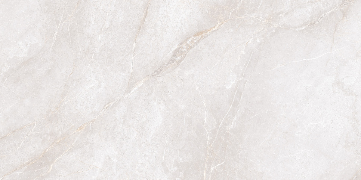 Керамогранит Neodom Marble Orobico Bianco Polished 60x120, N20482 Керамогранит Neodom Marble Orobico Bianco Polished 60x120, N20482