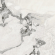 Керамогранит Atlas Concorde Russia Forte Dei Marmi Quark Oyster Wh. 80x80, 610015000701 Керамогранит Atlas Concorde Russia Forte Dei Marmi Quark Oyster Wh. 80x80, 610015000701
