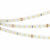 Светодиодная лента RT 2-5000 24V Warm3000 1.6x (2835, 490 LED, CRI98), Arlight, 021453(1), изображение 2 Светодиодная лента RT 2-5000 24V Warm3000 1.6x (2835, 490 LED, CRI98), Arlight, 021453(1), изображение 2