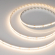 Светодиодная лента CSP-X840-12mm 24V RGBW-Warm (17.2 W/m, IP20, 5m), Arlight, 046937, изображение 3 Светодиодная лента CSP-X840-12mm 24V RGBW-Warm (17.2 W/m, IP20, 5m), Arlight, 046937, изображение 3