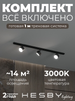 Комплект трековый Skylite №13, Hesby Lighting, HSBL_kompl_S013_NI1B3K