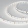 Светодиодная лента MICROLED-M120-8mm 24V Day5000 (6.5 W/m, IP20, 2216, 5m), Arlight, 024436(2), изображение 1