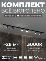 Комплект трековый Skylite №13, Hesby Lighting, HSBL_kompl_S013_NI2B3K