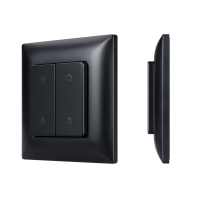 INTELLIGENT ARLIGHT Кнопочная панель SMART-RF-801-22-1G-DIM-SUF Black (3V, 2.4G), Arlight, 059068 INTELLIGENT ARLIGHT Кнопочная панель SMART-RF-801-22-1G-DIM-SUF Black (3V, 2.4G), Arlight, 059068