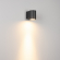 Светильник LGD-RAY-WALL-R65-9W Warm3000 (GR, 23 deg, 230V), Arlight, 038153(1), изображение 5 Светильник LGD-RAY-WALL-R65-9W Warm3000 (GR, 23 deg, 230V), Arlight, 038153(1), изображение 5