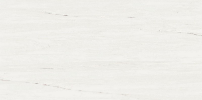 Настенная плитка Atlas Concorde Italy Marvel Stone Bianco Dolomite 40x80, 9MSB Настенная плитка Atlas Concorde Italy Marvel Stone Bianco Dolomite 40x80, 9MSB