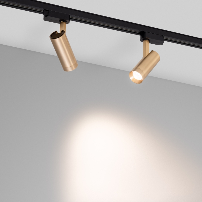 Светильник LGD-SPOT-2TR-R45-7W Warm3000 (GD, 24 deg, 230V), Arlight, 042541, изображение 3 Светильник LGD-SPOT-2TR-R45-7W Warm3000 (GD, 24 deg, 230V), Arlight, 042541, изображение 3