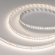 Светодиодная лента RT-A144-10mm 24V Day4000 (7.7 W/m, IP20, 2835, 5m), Arlight, 036208, изображение 4 Светодиодная лента RT-A144-10mm 24V Day4000 (7.7 W/m, IP20, 2835, 5m), Arlight, 036208, изображение 4