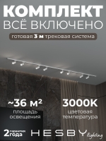 Комплект трековый Skylite №3, Hesby Lighting, HSBL_kompl_S003_NI3W3K Комплект трековый Skylite №3, Hesby Lighting, HSBL_kompl_S003_NI3W3K