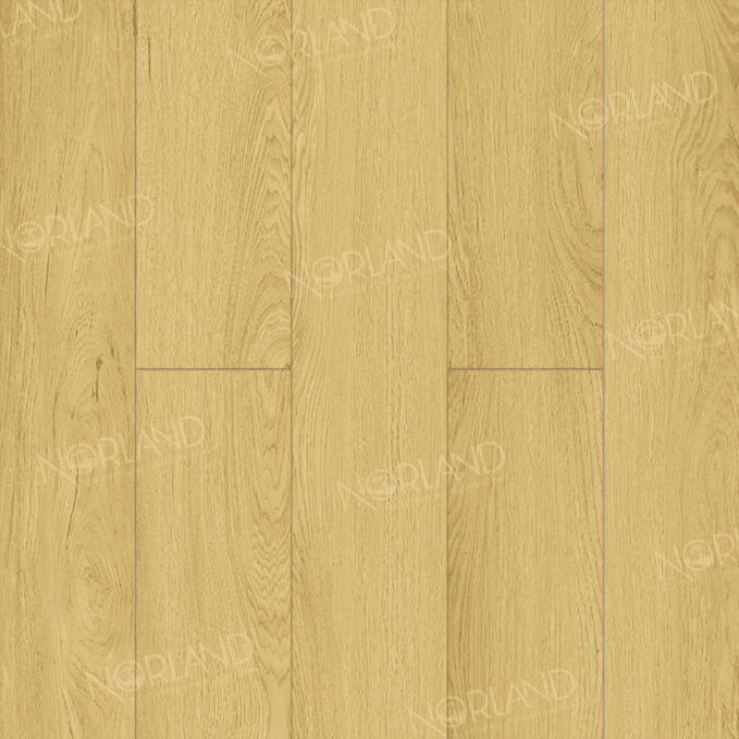 Ламинат Norland Elegant Strong Дуб Элмер, LF302-08 Ламинат Norland Elegant Strong Дуб Элмер, LF302-08