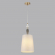 Подвес E27 1*60W HOMI CLASSIC ODL24 371 ODEON LIGHT 5040/1A, фото на цветном фоне 1