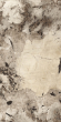 Керамогранит Maimoon Ceramica High Glossy Patagonia Sample 80x160 Керамогранит Maimoon Ceramica High Glossy Patagonia Sample 80x160