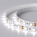 Светодиодная лента RT 2-5000 12V White6000 2x (5060, 300 LED, LUX), Arlight, 012339(B), изображение 2 Светодиодная лента RT 2-5000 12V White6000 2x (5060, 300 LED, LUX), Arlight, 012339(B), изображение 2