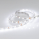 Светодиодная лента RT 2-5000 12V White6000 2x (5060, 300 LED, LUX), Arlight, 012339(B), изображение 5 Светодиодная лента RT 2-5000 12V White6000 2x (5060, 300 LED, LUX), Arlight, 012339(B), изображение 5