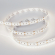 Светодиодная лента MICROLED-5000 24V Day4000 8mm (2216, 300 LED/m, LUX), Arlight, 023558, изображение 2 Светодиодная лента MICROLED-5000 24V Day4000 8mm (2216, 300 LED/m, LUX), Arlight, 023558, изображение 2