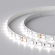 Светодиодная лента RT 2-5000 24V White6000 2x (5060, 300 LED, LUX), Arlight, 008829, изображение 4 Светодиодная лента RT 2-5000 24V White6000 2x (5060, 300 LED, LUX), Arlight, 008829, изображение 4
