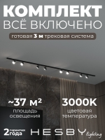 Комплект трековый Skylite №13, Hesby Lighting, HSBL_kompl_S013_NI3B3K
