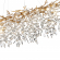 Люстра G9 16*40W DELICA HALL ODL24 613 ODEON LIGHT 4969/16, композиция 3 Люстра G9 16*40W DELICA HALL ODL24 613 ODEON LIGHT 4969/16, композиция 3