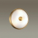 Настенно-потолочный светильник E14 2*40W PELOW WALLI ODL22 465 ODEON LIGHT 4956/2, фото на цветном фоне 1 Настенно-потолочный светильник E14 2*40W PELOW WALLI ODL22 465 ODEON LIGHT 4956/2, фото на цветном фоне 1