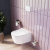 Унитаз Damixa Luna DX46C1700SC