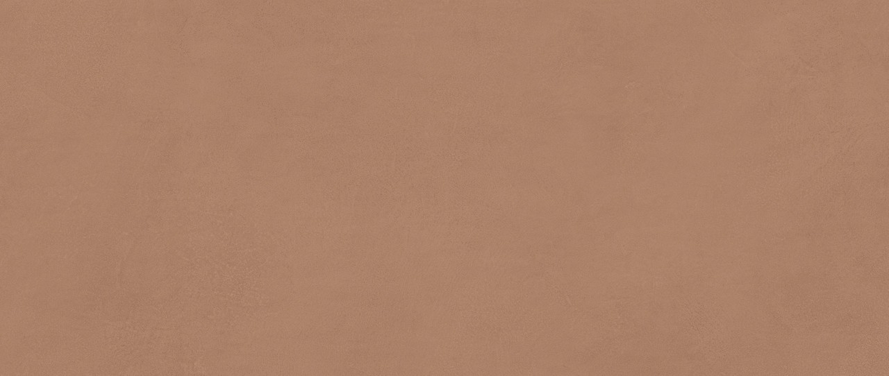 Настенная плитка Atlas Concorde Boost Expression Sienna 50x120, AYR9
