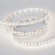 Светодиодная лента MICROLED-M300-8mm 24V Day4000 (8 W/m, IP20, 2216, 5m), Arlight, 023558(2), изображение 2 Светодиодная лента MICROLED-M300-8mm 24V Day4000 (8 W/m, IP20, 2216, 5m), Arlight, 023558(2), изображение 2