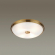 Настенно-потолочный светильник E14 4*40W PELOW WALLI ODL22 465 ODEON LIGHT 4956/4, фото на цветном фоне 1 Настенно-потолочный светильник E14 4*40W PELOW WALLI ODL22 465 ODEON LIGHT 4956/4, фото на цветном фоне 1