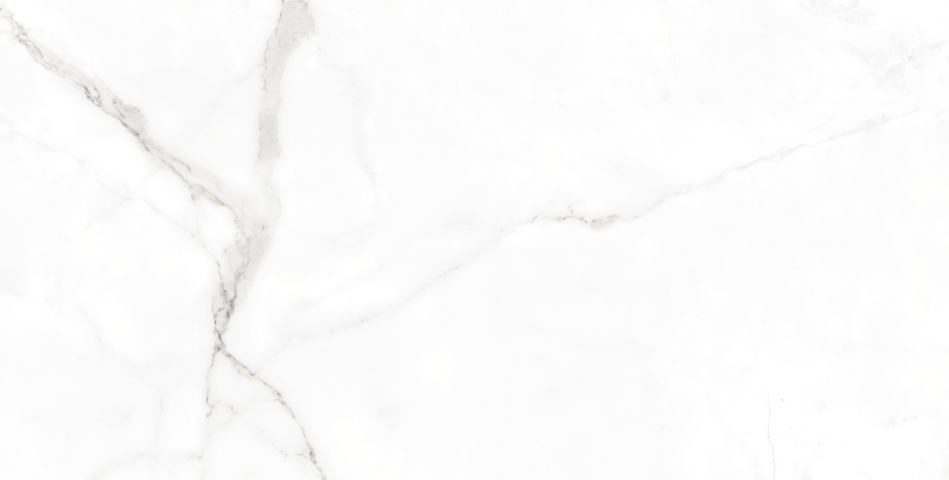 Керамогранит Tau Baranello White Matt 60x120 Керамогранит Tau Baranello White Matt 60x120