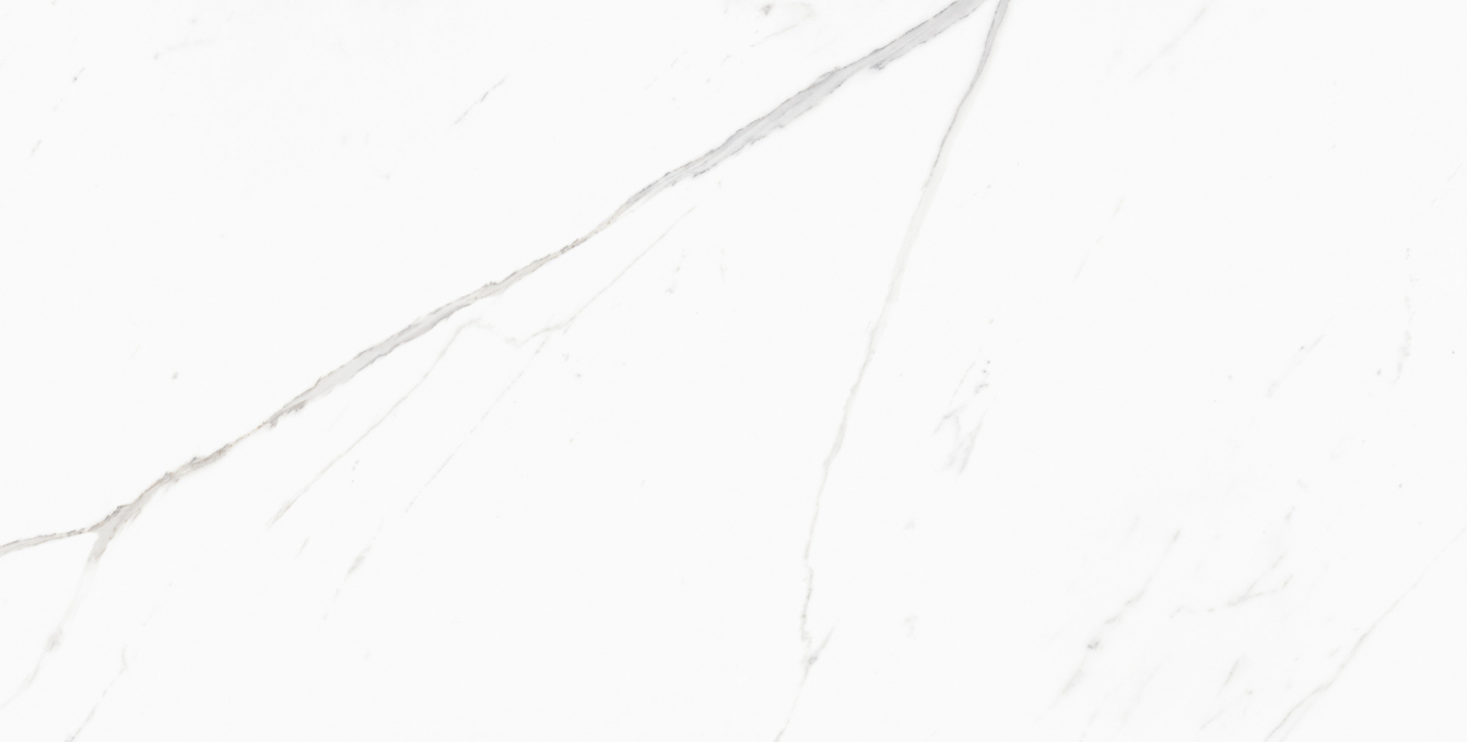 Керамогранит Tau Baranello White Matt 60x120 Керамогранит Tau Baranello White Matt 60x120