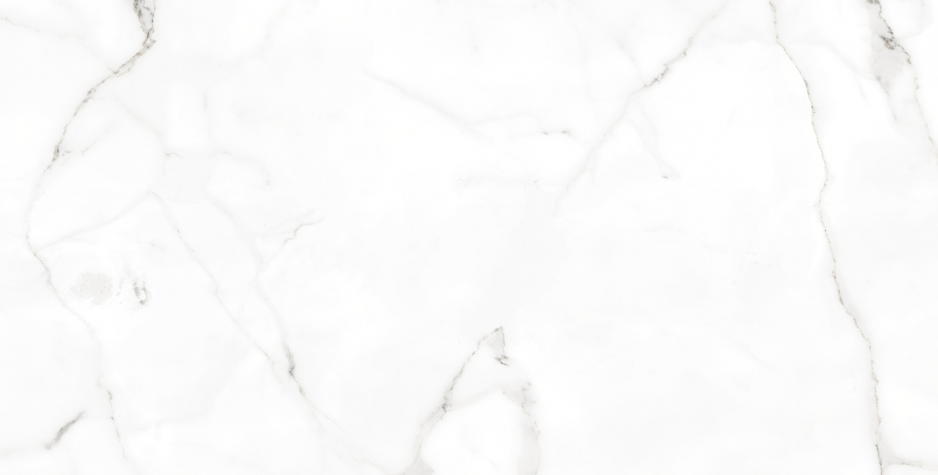 Керамогранит Tau Baranello White Matt 60x120 Керамогранит Tau Baranello White Matt 60x120