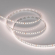 Светодиодная лента MICROLED-M280-8mm 24V Day-MIX (16.5 W/m, IP20, 2216, 5m), Arlight, 036214, изображение 5 Светодиодная лента MICROLED-M280-8mm 24V Day-MIX (16.5 W/m, IP20, 2216, 5m), Arlight, 036214, изображение 5