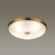 Настенно-потолочный светильник E14 5*40W PELOW WALLI ODL22 465 ODEON LIGHT 4956/5, фото на цветном фоне 1 Настенно-потолочный светильник E14 5*40W PELOW WALLI ODL22 465 ODEON LIGHT 4956/5, фото на цветном фоне 1