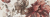 Декор Italon Element Silk Neve Inserto Bouquet 25x75, 600080000403