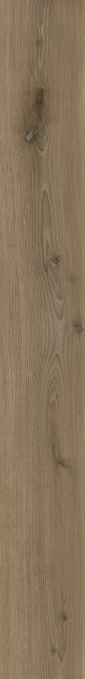 Керамогранит Italon Velvet Oak Natural 20x160, 610010006226 Керамогранит Italon Velvet Oak Natural 20x160, 610010006226