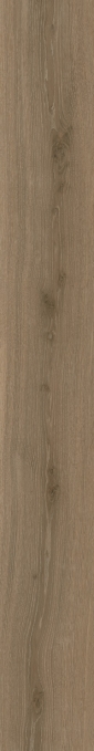 Керамогранит Italon Velvet Oak Natural 20x160, 610010006226 Керамогранит Italon Velvet Oak Natural 20x160, 610010006226