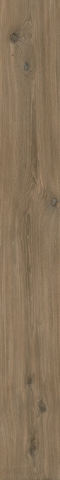 Керамогранит Italon Velvet Oak Natural 20x160, 610010006226 Керамогранит Italon Velvet Oak Natural 20x160, 610010006226