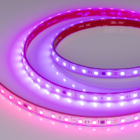Светодиодная лента герметичная SPI-PFS-B60-12mm 24V RGB-PX6-BPT (12 W/m, IP68, 5060, 5m), Arlight, 039602 Светодиодная лента герметичная SPI-PFS-B60-12mm 24V RGB-PX6-BPT (12 W/m, IP68, 5060, 5m), Arlight, 039602
