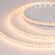 Светодиодная лента MICROLED-M300-8mm 24V Warm3000 (8 W/m, IP20, 2216, 5m), Arlight, 023559(2), изображение 1 Светодиодная лента MICROLED-M300-8mm 24V Warm3000 (8 W/m, IP20, 2216, 5m), Arlight, 023559(2), изображение 1
