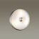 Настенно-потолочный светильник E14 2*40W PELOW WALLI ODL22 465 ODEON LIGHT 4957/2, фото на цветном фоне 1