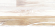 Плитка настенная AltaCera Antique Wood 24.9x50, WT9ANQ08 Плитка настенная AltaCera Antique Wood 24.9x50, WT9ANQ08