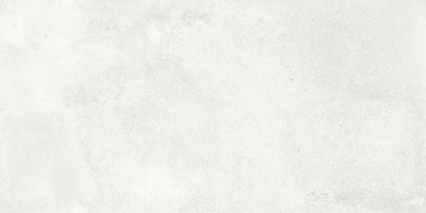 Керамогранит NT Ceramic Cemento Bianco 60x120, NTT99604M Керамогранит NT Ceramic Cemento Bianco 60x120, NTT99604M