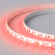 Светодиодная лента RTW 2-5000SE 24V Red 2x (5060, 300 LED, LUX), Arlight, 015597, изображение 4 Светодиодная лента RTW 2-5000SE 24V Red 2x (5060, 300 LED, LUX), Arlight, 015597, изображение 4