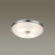 Настенно-потолочный светильник E14 4*40W PELOW WALLI ODL22 465 ODEON LIGHT 4957/4, фото на цветном фоне 1 Настенно-потолочный светильник E14 4*40W PELOW WALLI ODL22 465 ODEON LIGHT 4957/4, фото на цветном фоне 1